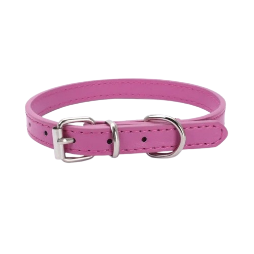 Petverz Adjustable Leather Dog Collar with Alloy Buckle
